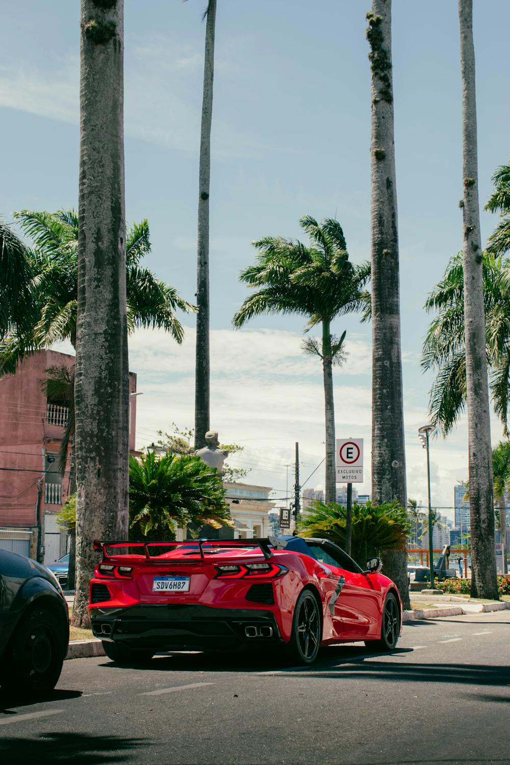 Top-End Affordable Cars in India: Where Luxury Meets Budget